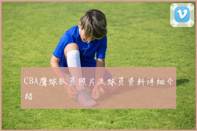 CBA鹰球队员照片及球员资料详细介绍