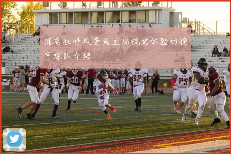 拥有独特风景或主场视觉体验的德甲球队介绍