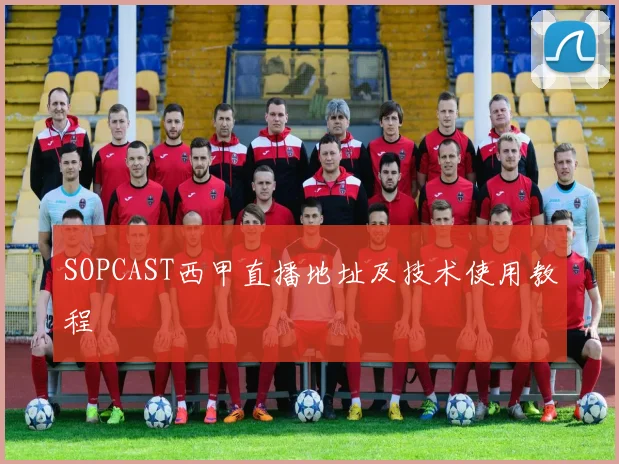 SOPCAST西甲直播地址及技术使用教程