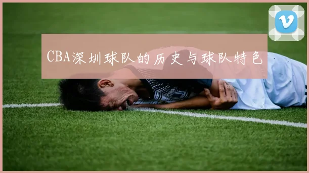 CBA深圳球队的历史与球队特色