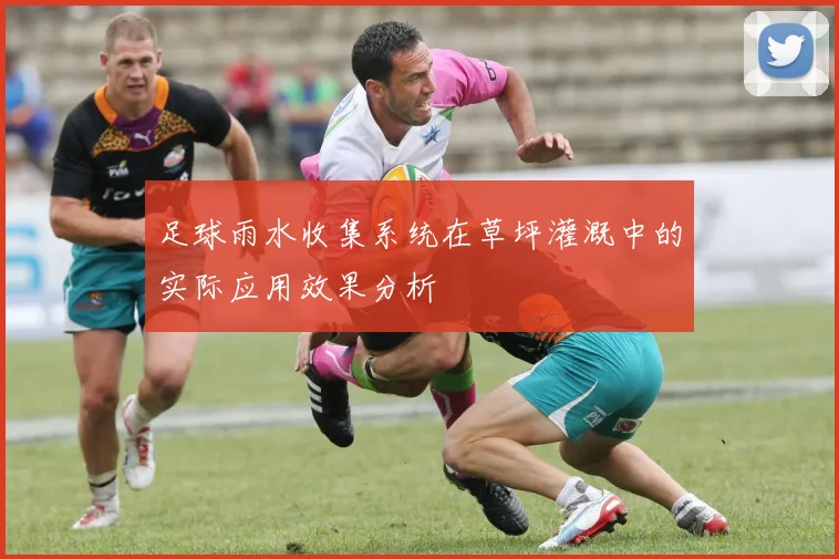 足球雨水收集系统在草坪灌溉中的实际应用效果分析