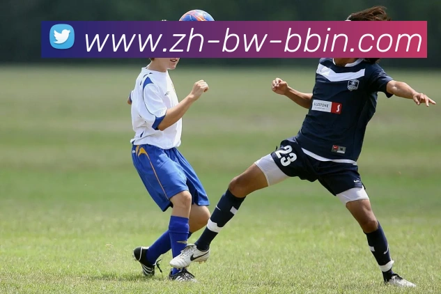 bbin宝盈服务体系